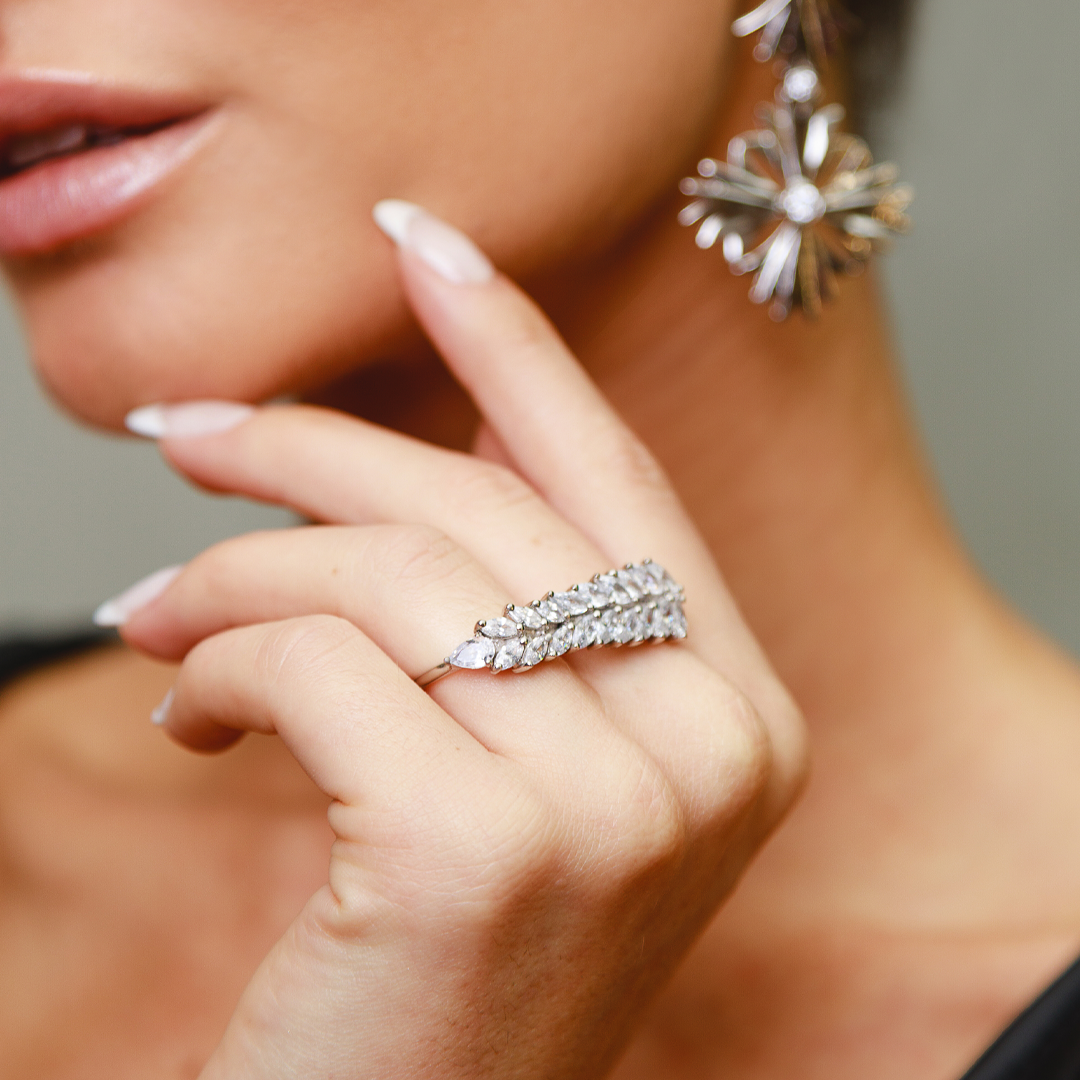 Anel Dois Dedos Degradê Zircônias