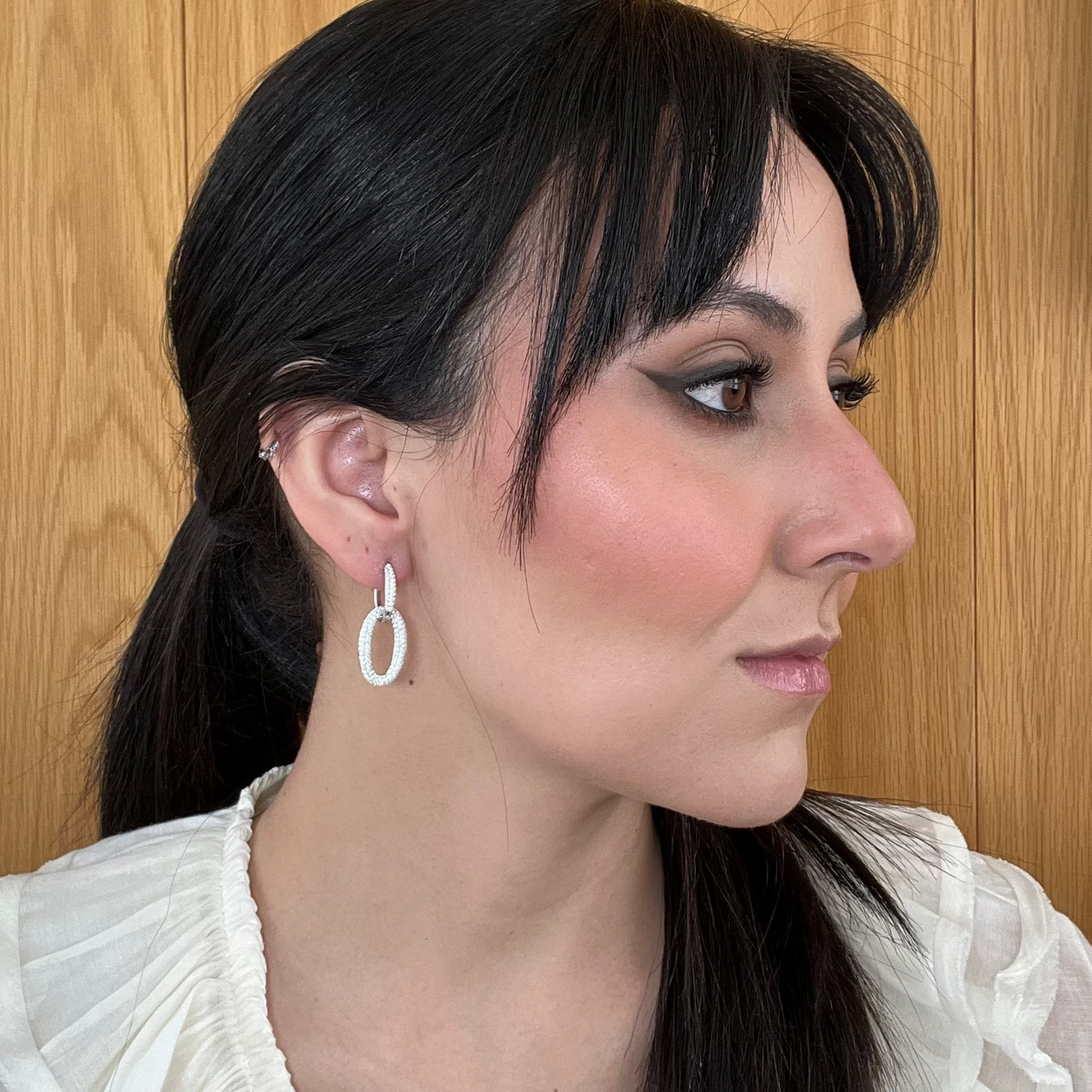 Brinco Argolas Entrelaçadas Pavê