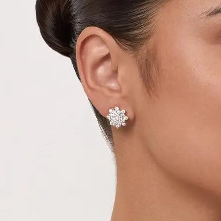 Brinco Cluster Moissanitas 3,00ct